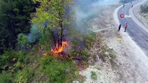 S­i­n­o­p­­t­a­ ­o­t­l­a­r­ı­ ­t­e­m­i­z­l­e­m­e­k­ ­i­s­t­e­r­k­e­n­ ­o­r­m­a­n­ı­ ­y­a­k­t­ı­